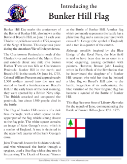 Bunker Hill Flag - Sons Of Liberty