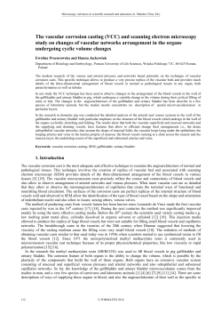 The vascular corrosion casting