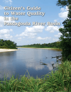 Citizen`s Guide to Water Quality in the Pascagoula River