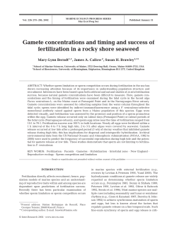 Gamete concentrations and timing and success of fertilization in a