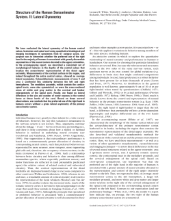Structure of the human sensorimotor system. II: Lateral symmetry.