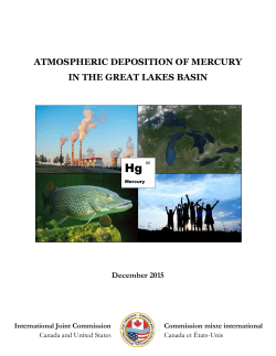Atmospheric Deposition of Mercury in the Great Lakes Basin