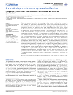 A statistical approach to root system classification