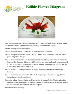 Edible Flower Diagram - Florida Agriculture in the Classroom