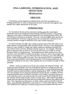 DNA LABELING, HYBRIDIZATION, AND DETECTION (Radioactive)