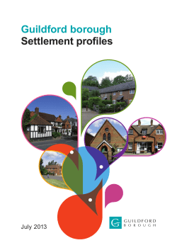 Settlement Profiles - Guildford Borough Council