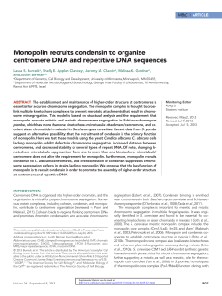 Monopolin recruits condensin to organize centromere DNA and