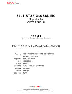 blue star global inc