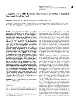 A negative role of SHP-2 tyrosine phosphatase in growth factor