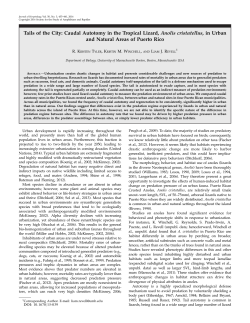 Tails of the City: Caudal Autotomy in the Tropical Lizard, Anolis