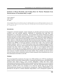 Estimates of Basal Metabolic and Feeding Rates for
