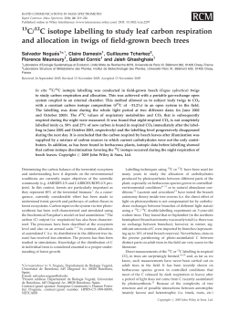 13C/12C isotope labelling to study leaf carbon respiration and