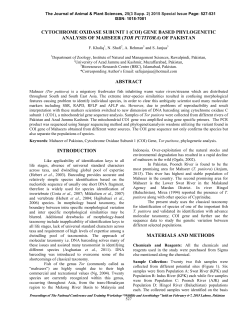 (coi) gene based phylogenetic analysis of mahseer