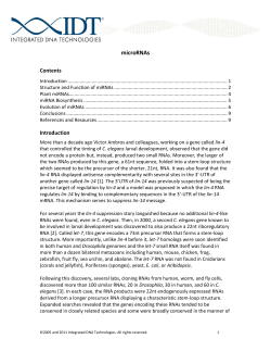 microRNAs - Integrated DNA Technologies