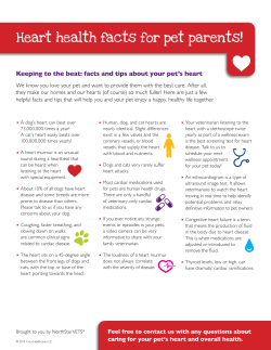 Heart health facts for pet parents!