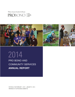 pro bono and community services annual report