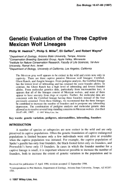 Genetic Evaluation of the Three Captive Mexican Wolf Lineages