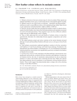 How feather colour reflects its melanin content