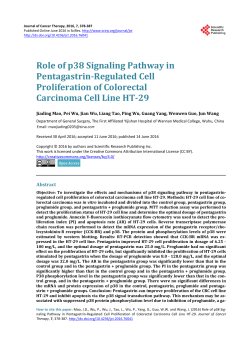 Role of p38 Signaling Pathway in Pentagastrin