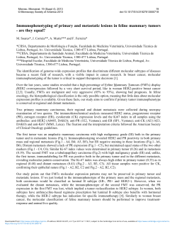Immunophenotyping of primary and metastatic lesions in feline