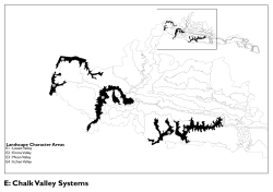 E: Chalk Valley Systems - South Downs National Park Authority