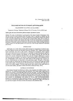 Sink strength and clone size of sympatric, gall