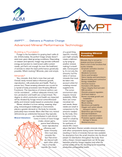AMPT Delivers a Positive Charge