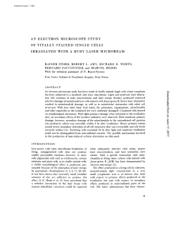 AN ELECTRON MICROSCOPE STUDY OF VITALLY STAINED