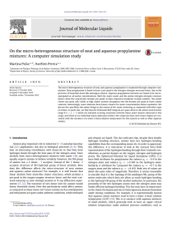 On the micro-heterogeneous structure of neat and aqueous