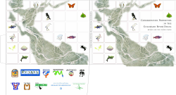 conservation priorities in the colorado river delta