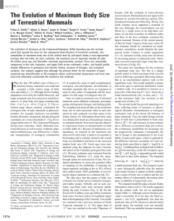 The Evolution of Maximum Body Size of Terrestrial mammals