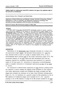 Initiation signals for complementary strand DNA synthesis in the