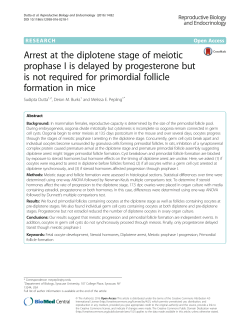 Arrest at the diplotene stage of meiotic prophase I is delayed by