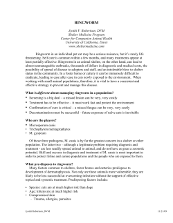 Ringworm - Oregon Veterinary Medical Association