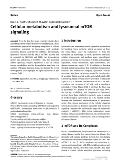 Cellular metabolism and lysosomal mTOR signaling