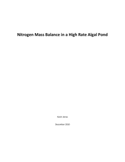 Nitrogen Mass Balance in a High Rate Algal Pond