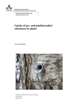 Uptake of per- and polyfluoroalkyl substances by plants