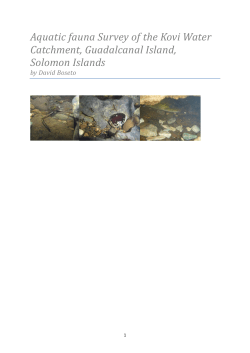 Aquatic fauna Survey of the Kovi Water Catchment, Guadalcanal