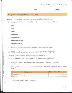 Ch. 13 reading guide
