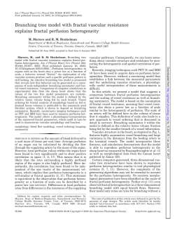 Branching tree model with fractal vascular resistance explains fractal