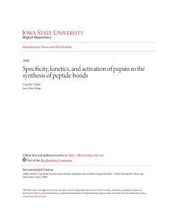 Specificity, kinetics, and activation of papain in the synthesis of