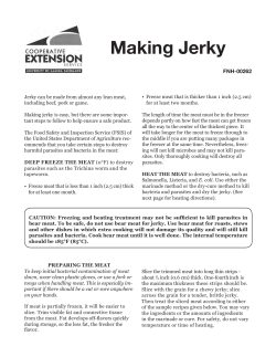 Making Jerky - kazvswild.com