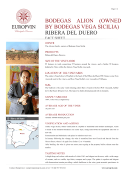 bodegas alion (owned by bodegas vega sicilia) ribera del
