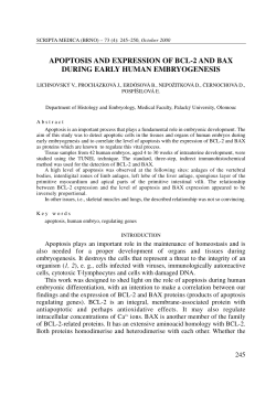 apoptosis and expression of bcl-2 and bax during early human