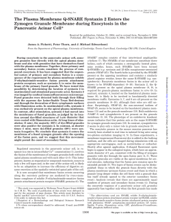 The Plasma Membrane Q-SNARE Syntaxin 2 Enters