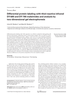 Differential protein labeling with thiol-reactive infrared DY-680