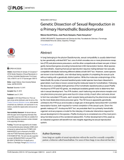 Genetic Dissection of Sexual Reproduction in a Primary