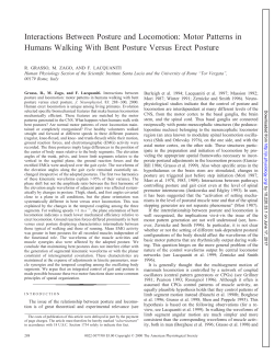 Interactions Between Posture and Locomotion: Motor Patterns in