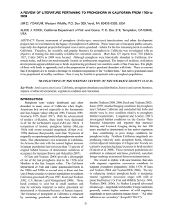 A REVIEW OF LITERATURE PERTAINING TO PRONGHORN IN
