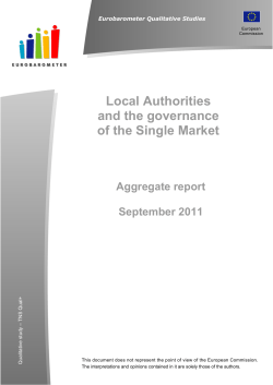 Local Authorities and the governance of the Single Market